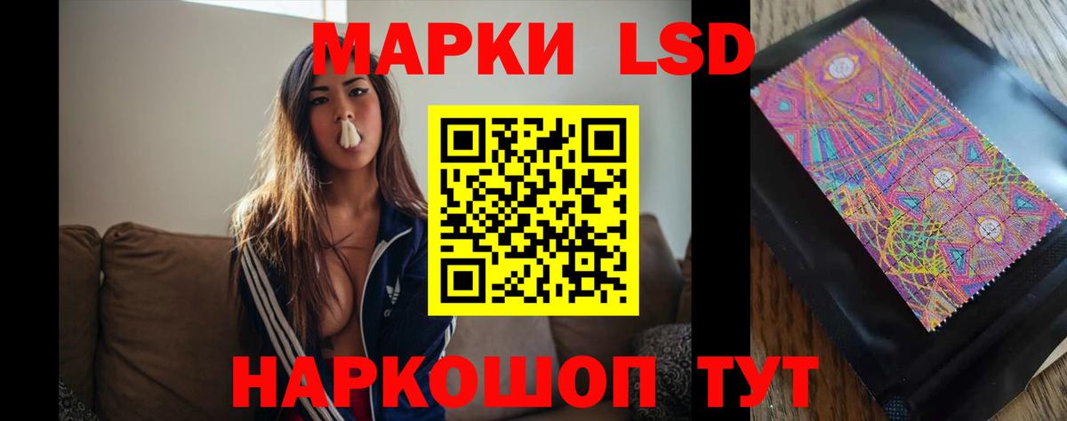 Гашиш  Вход с VPN  LSD-25  Метадон  ГАШ  МЕФ   Конопля  Кокаин  Кинель  A PVP СК  
