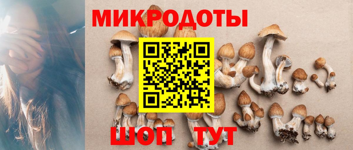 Галлюциногенные грибы мицелий  хочу наркоту  Кинель  Вход с VPN 