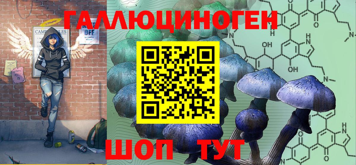 Псилоцибиновые грибы GOLDEN TEACHER Кинель
